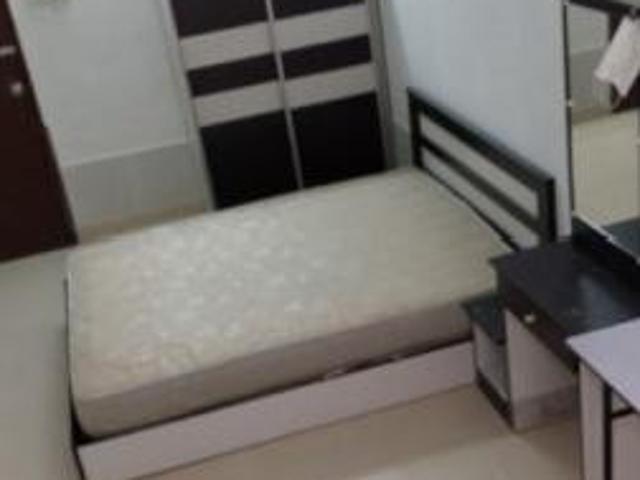 House for rent in Petaling, Subang Jaya