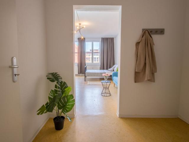 Apartment mieten in Johannstadt, Dresden