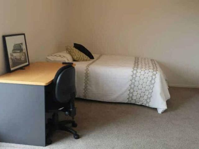 Property for rent in Knighton, Hamilton City