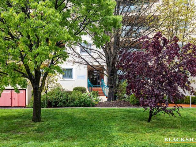 Apartment for rent in Canberra Central, Griffith