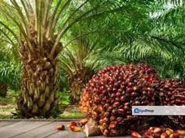 Shop for sale in Mersing, Johor