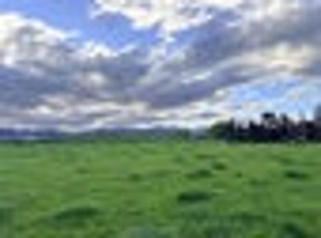 Land for sale in Waimate, Waimate District