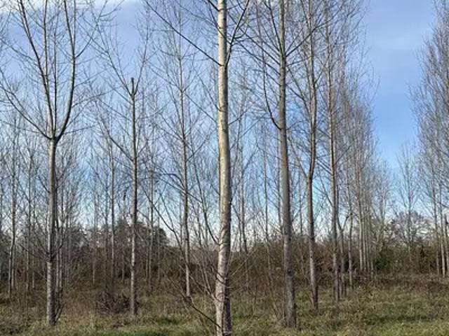 Terrain vente à Villeneuve-sur-Lot, Fumel