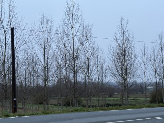 Terrain vente à Villeneuve-sur-Lot, Fumel