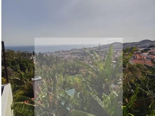 Terreno venda em Funchal, Ilha Da Madeira