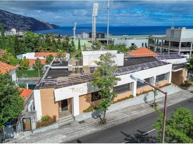 Loja alugar em Funchal, Ilha Da Madeira