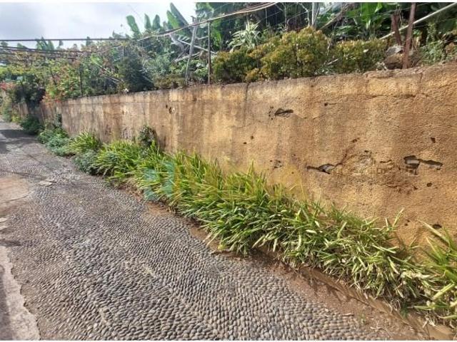 Terreno venda em Funchal, Ilha Da Madeira