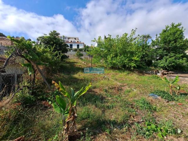 Terreno venda em Funchal, Ilha Da Madeira