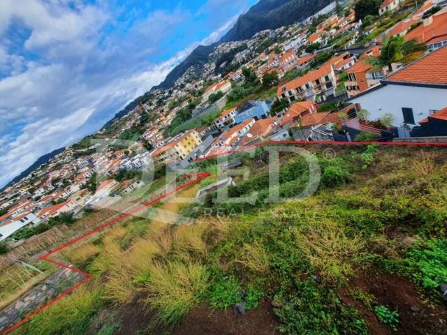 Terreno venda em Funchal, Ilha Da Madeira