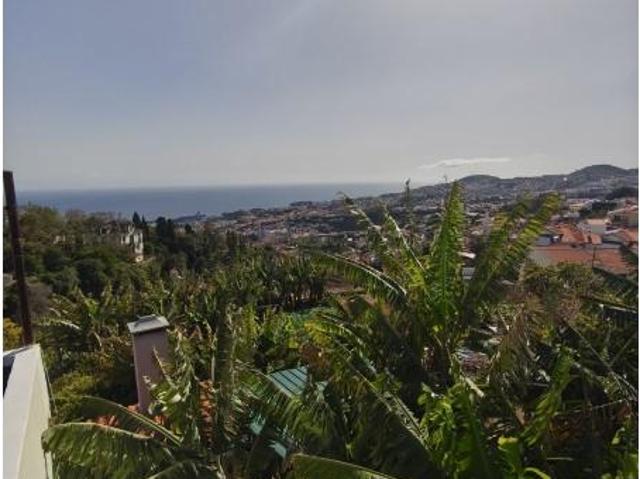 Terreno venda em Funchal, Ilha Da Madeira