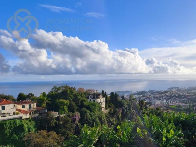 Terreno venda em Funchal, Ilha Da Madeira