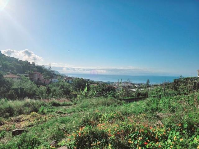 Terreno venda em Funchal, Ilha Da Madeira