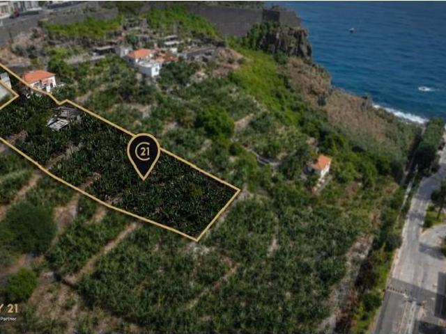 Terreno venda em Funchal, Ilha Da Madeira