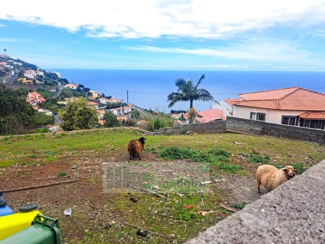 Terreno venda em Funchal, Ilha Da Madeira