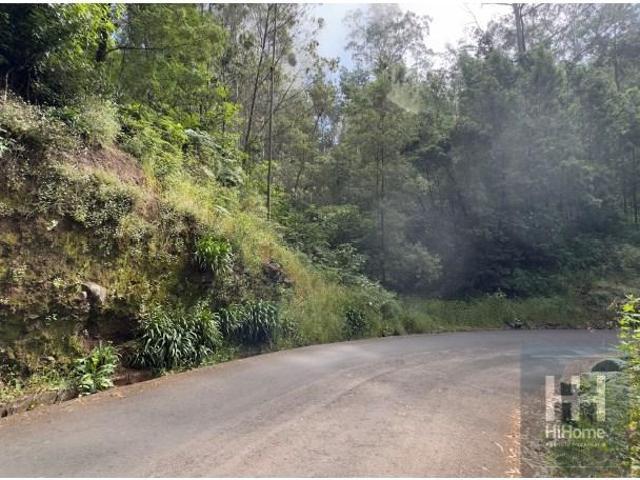 Terreno venda em Palheiro Ferreiro, Funchal