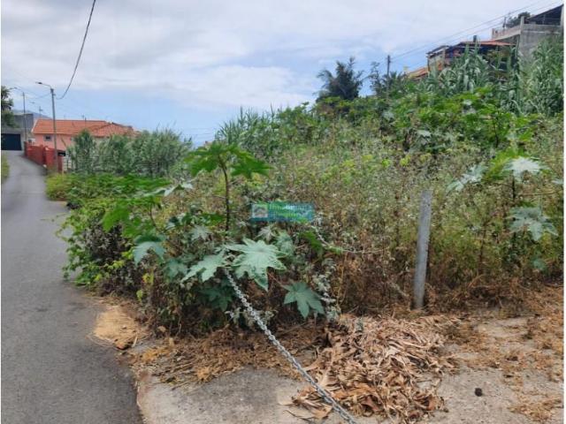 Terreno venda em Funchal, Ilha Da Madeira