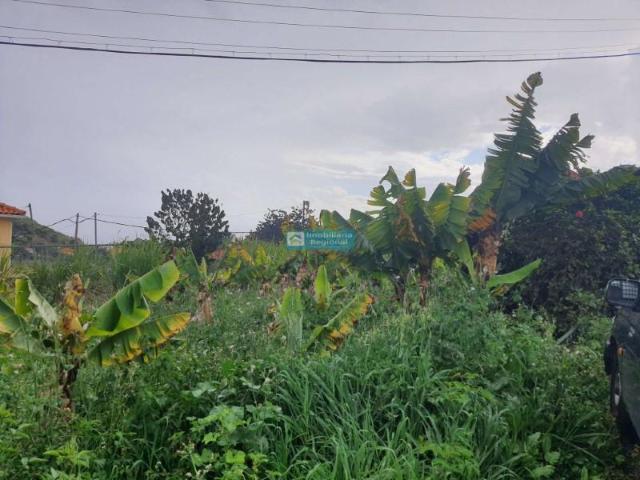 Terreno venda em Funchal, Ilha Da Madeira
