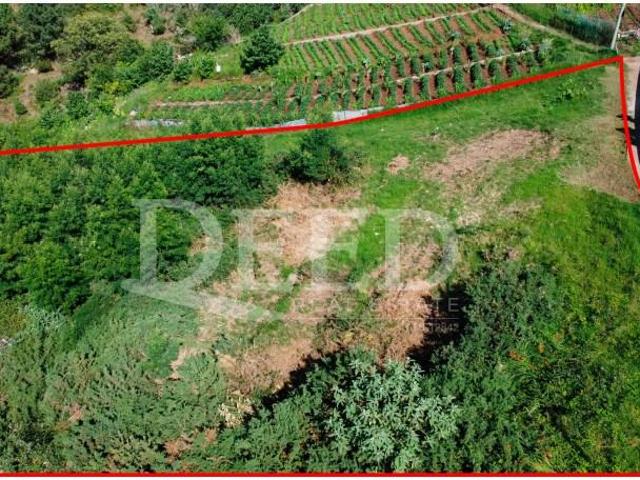 Terreno venda em Funchal, Ilha Da Madeira