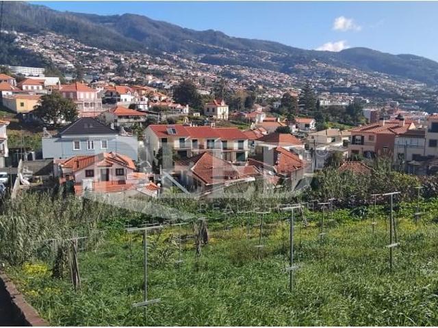 Terreno venda em Funchal, Ilha Da Madeira