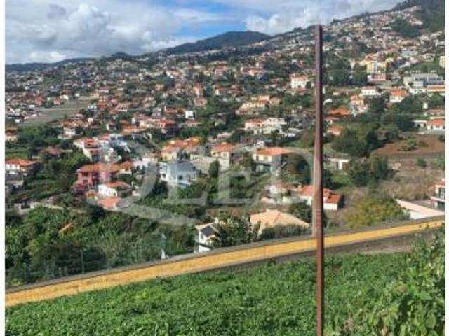 Terreno venda em Funchal
