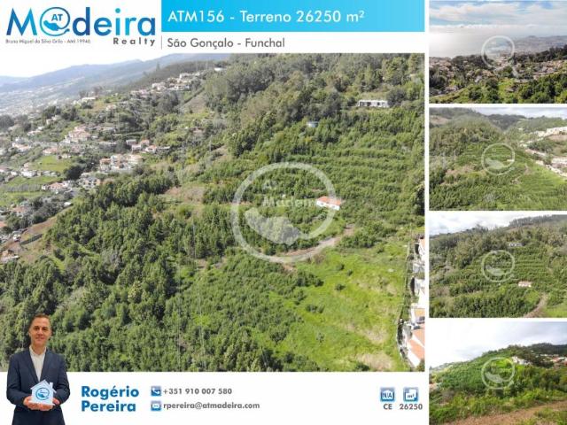 Terreno venda em Funchal, Ilha Da Madeira