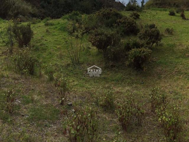 Terreno venda em São Roque, Funchal