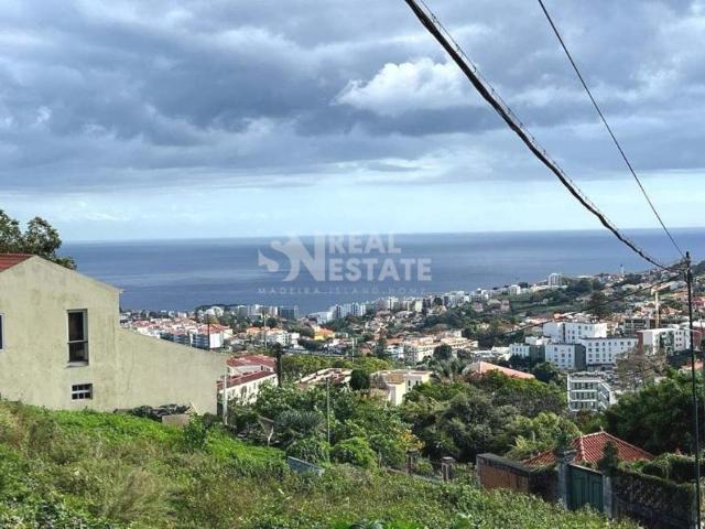 Terreno venda em Açores, Ilha De São Miguel