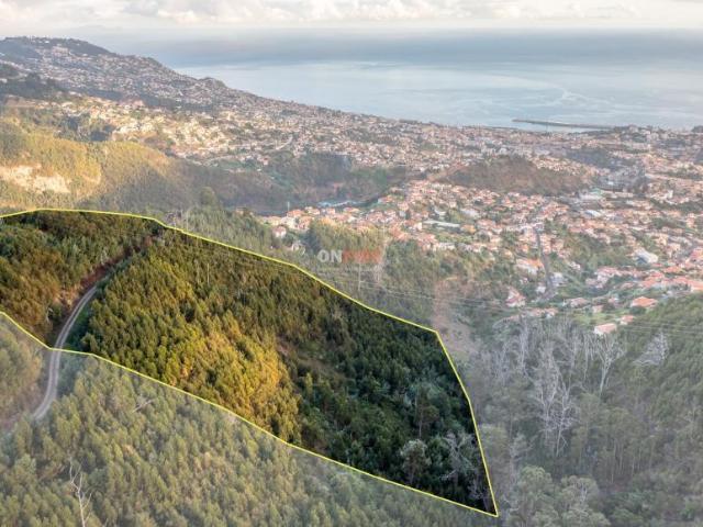 Terreno venda em São Roque, Funchal
