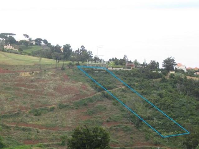 Terreno venda em Funchal, Ilha Da Madeira