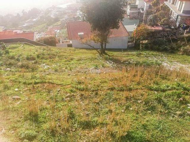 Terreno venda em São Roque, Funchal