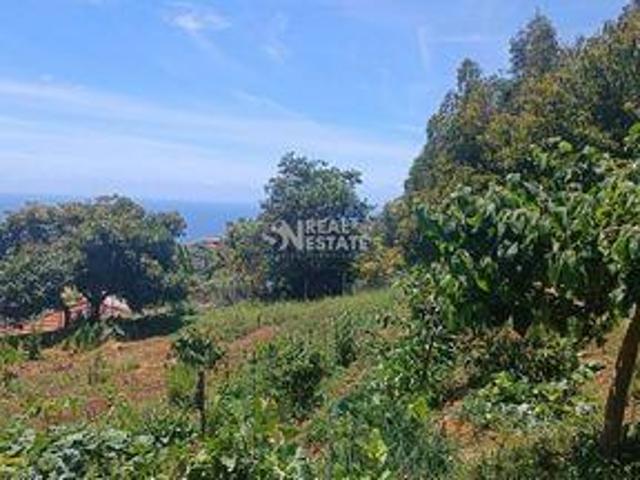 Terreno venda em Três Paus, Funchal