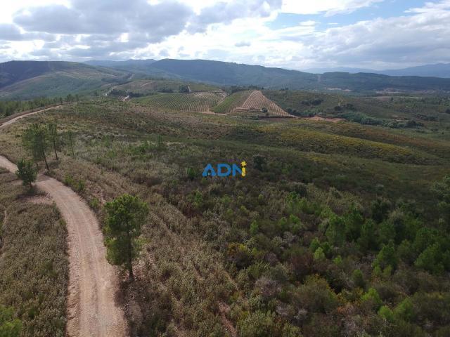 Terreno venda em Castelo Branco, Aldeia Nova Do Cabo