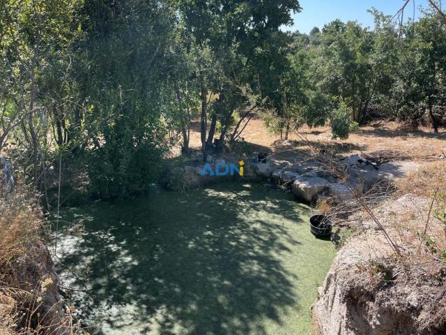 Terreno venda em Castelo Branco, Aldeia Nova Do Cabo