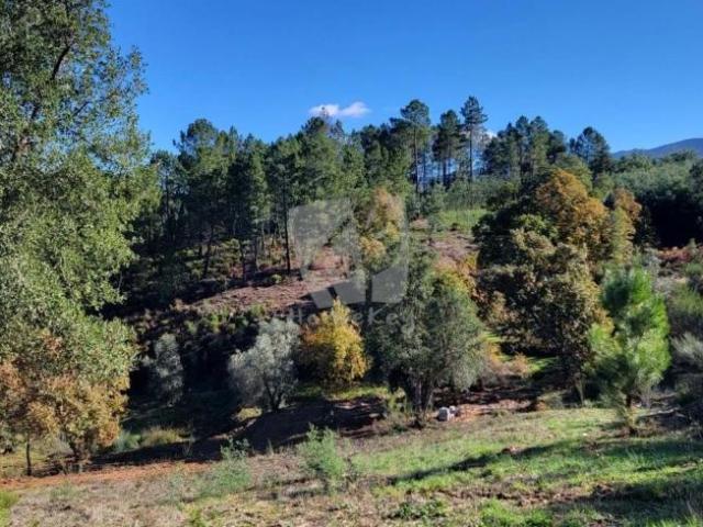 Terreno venda em Castelo Branco, Aldeia Nova Do Cabo