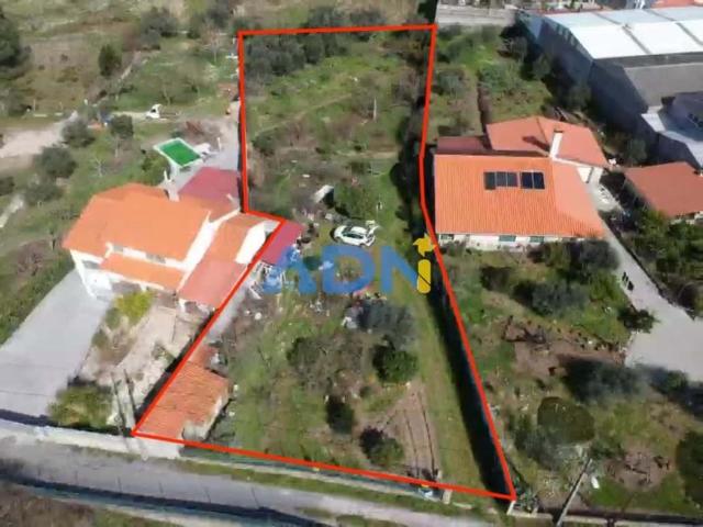 Terreno venda em Castelo Branco, Aldeia Nova Do Cabo