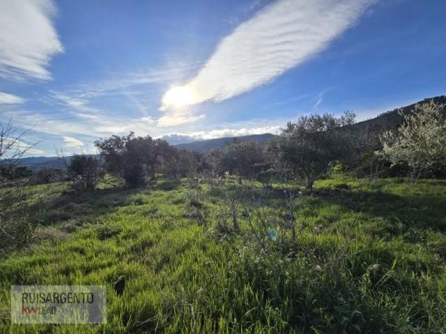 Terreno venda em Castelo Branco, Aldeia Nova Do Cabo