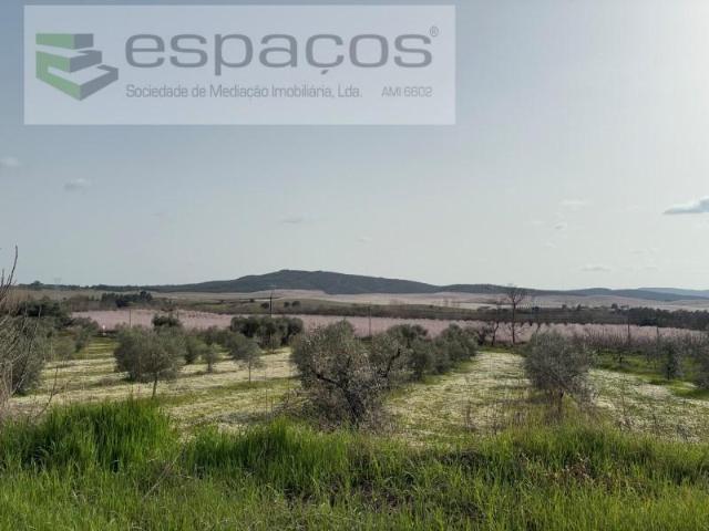 Terreno venda em Castelo Branco, Aldeia Nova Do Cabo
