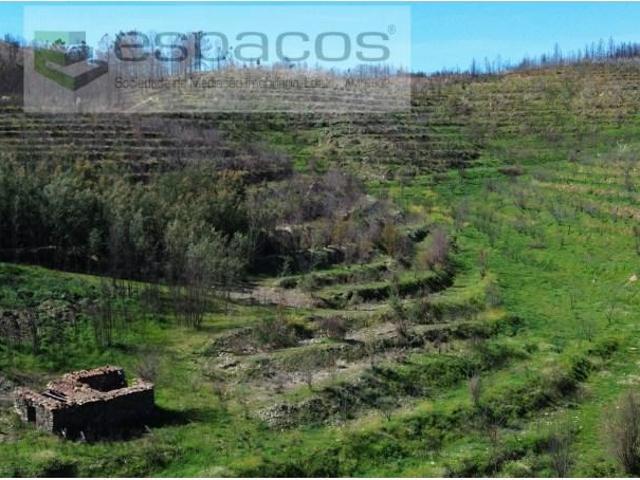 Terreno venda em Castelo Branco, Aldeia Nova Do Cabo