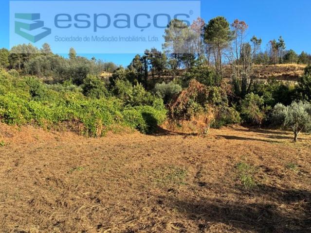 Terreno venda em Lavacolhos, Fundão