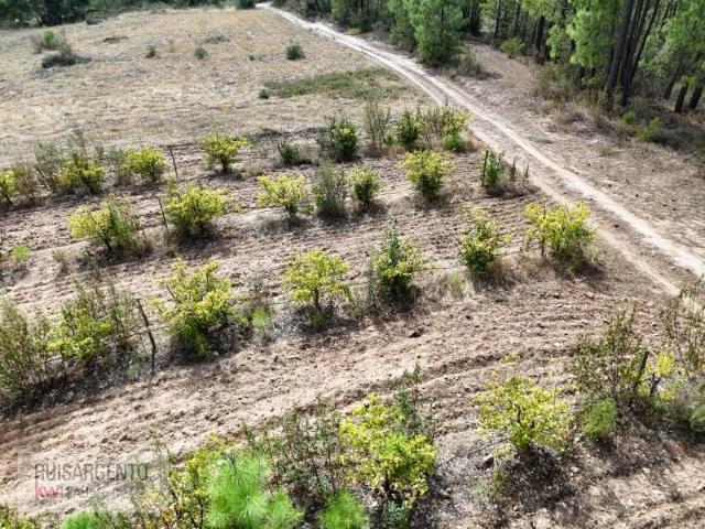 Terreno venda em União do Grande Fundão, Fundão