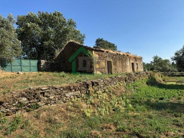 Terreno venda em Castelo Branco, Aldeia Nova Do Cabo