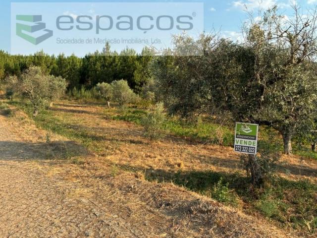Terreno venda em Castelo Branco, Aldeia Nova Do Cabo