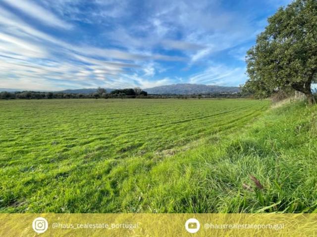 Terreno venda em Castelo Branco, Aldeia Nova Do Cabo