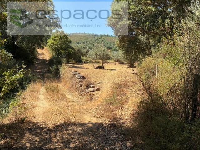 Terreno venda em Castelo Branco, Aldeia Nova Do Cabo