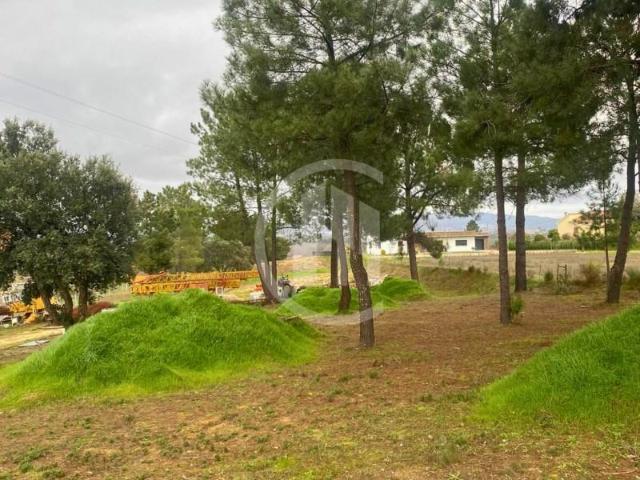 Terreno venda em Castelo Branco, Aldeia Nova Do Cabo