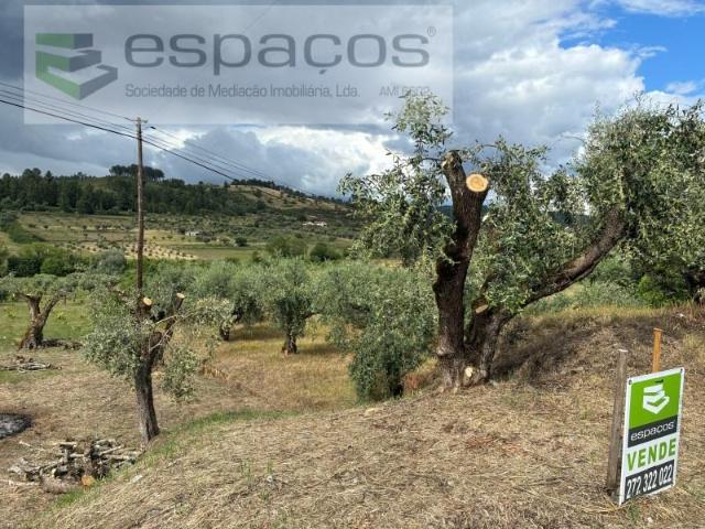 Terreno venda em Castelo Branco, Aldeia Nova Do Cabo
