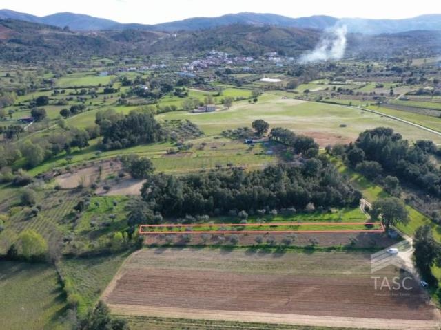 Terreno venda em Castelo Branco, Aldeia Nova Do Cabo