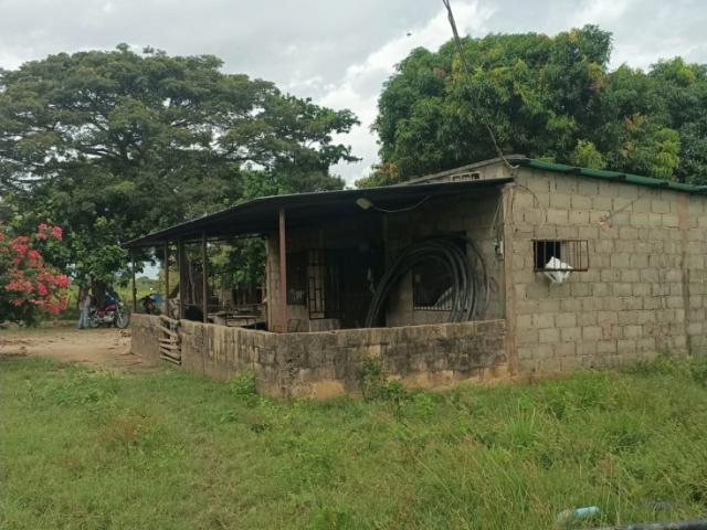 Finca en venta en Barinas