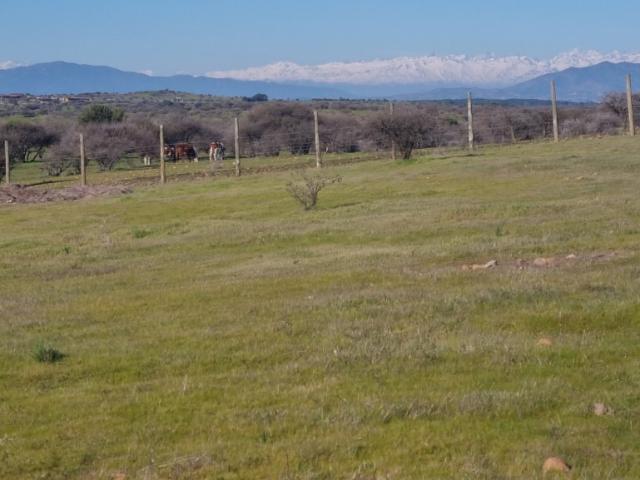FUNDO EL MOLINO