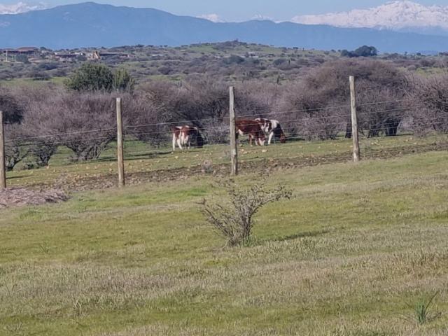 FUNDO EL MOLINO